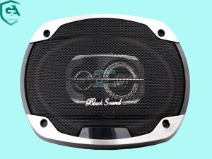 Black Sound speaker model BL-6975